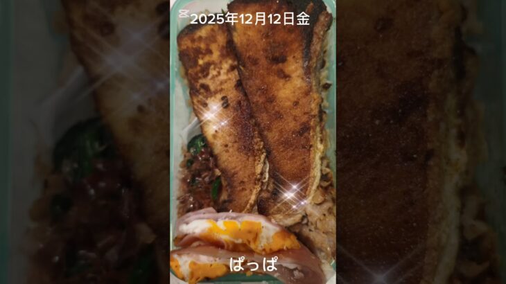 #2025/12/12/6:00#糖尿病弁当#パパ弁当#ブリのカレー味弁当#shorts