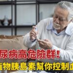 糖尿病高風險群你中了幾項？天然植物血糖調控神器揭秘！《醫定沒問題》20251213