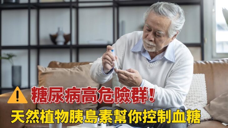 糖尿病高風險群你中了幾項？天然植物血糖調控神器揭秘！《醫定沒問題》20251213