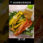 #2025/12/15/4:30#糖尿病弁当#パパ弁当#砂肝の焼肉弁当#shorts