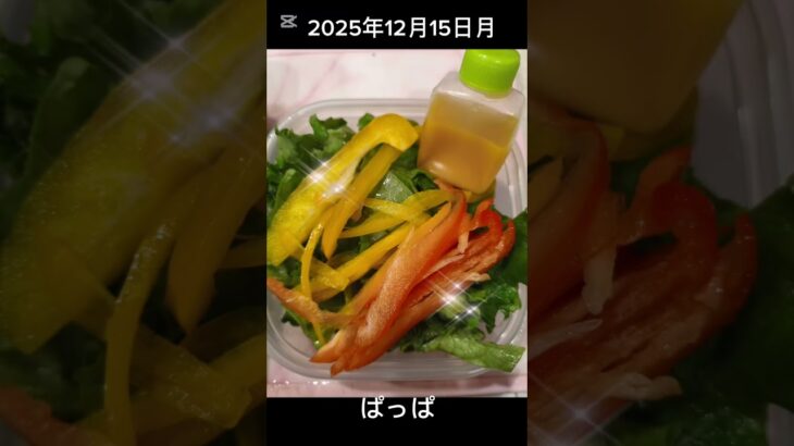 #2025/12/15/4:30#糖尿病弁当#パパ弁当#砂肝の焼肉弁当#shorts