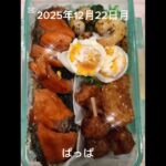 #2025/12/22/4:30#糖尿病弁当#パパ弁当#鮭おかかのり弁#shorts