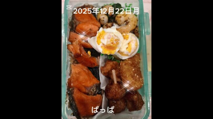 #2025/12/22/4:30#糖尿病弁当#パパ弁当#鮭おかかのり弁#shorts