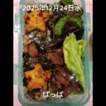 #2025/12/24/4:30#糖尿病弁当#茄子とししとうの生姜焼き弁当#shorts