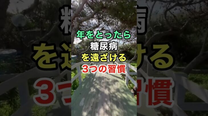 年をとったら糖尿病を遠ざける3つの習慣　#雑学 #知恵 #名言 #開運