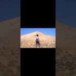 原来如此！这3个基因+环境=糖尿病！ #科学 #中医 #科普