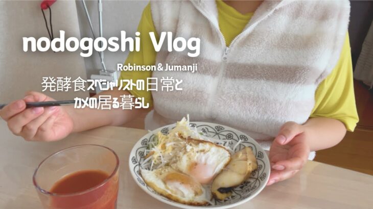 【地獄の炭水化物抜き☠️】妊娠糖尿病3日間食事記録🍙血糖値が上がる食べ物🤰栄養士に教わった食べて良いものリスト🙊⭕️