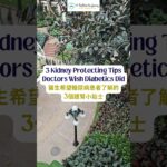 3 Kidney-Protecting Tips Doctors Wish Diabetics Did 醫生希望糖尿病患者了解的3個護腎小貼士