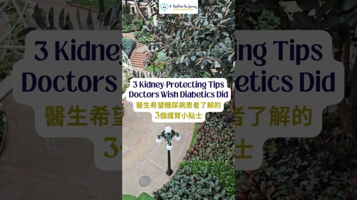 3 Kidney-Protecting Tips Doctors Wish Diabetics Did 醫生希望糖尿病患者了解的3個護腎小貼士