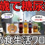 【猫ミーム】注意喚起！30歳で糖尿病になったオレの食生活ワロタｗｗ【2ch 面白いスレ】