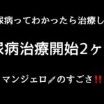 【糖尿病と診断されたら】#3糖尿病の治療開始から2ヶ月の結果 夫婦揃って糖尿病…