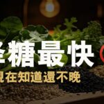 降血糖最快！6種食物逆轉胰島素抵抗 | 糖尿病飲食必看【納福小站】#喵一下 #養生