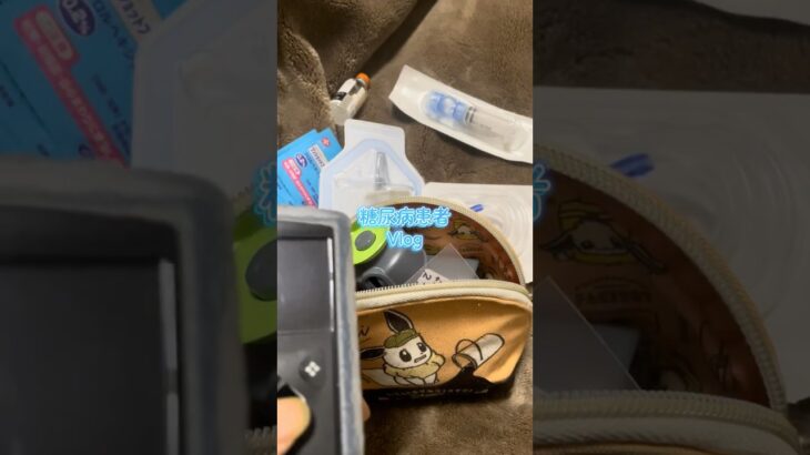 【糖尿病】糖尿病8年目の1日vlog   #糖尿病 #1型糖尿病 #2型糖尿病 #血糖値測定 #血糖値 #vlog #インスリンポンプ #その他糖尿病 #妊娠糖尿病 #病気 #闘病 #食事