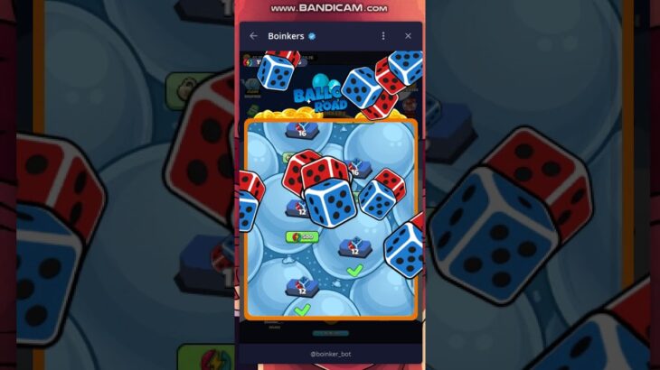 BOINKERS UPDATE New album sticker nft ? airdrop coming soon