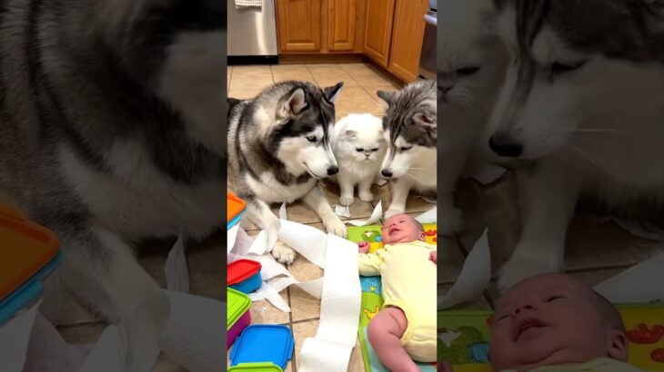 Baby’s First Hydroponic Discovery: The Magic of NFT! 🌱💦