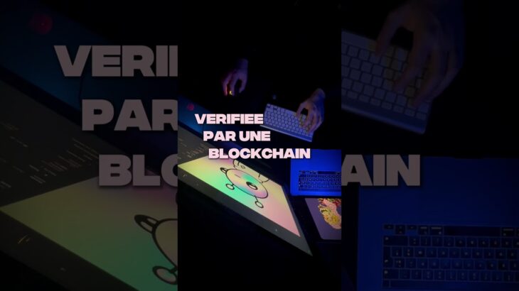 C’EST QUOI UN NFT? 🇫🇷