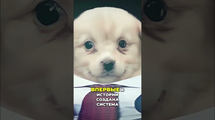 СКИНЫ CS2 — NFT, только лучше