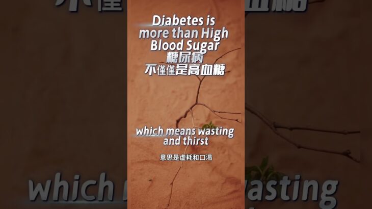 ［EN] Diabetes Is More Than High Blood Sugar糖尿病不僅僅是高血糖