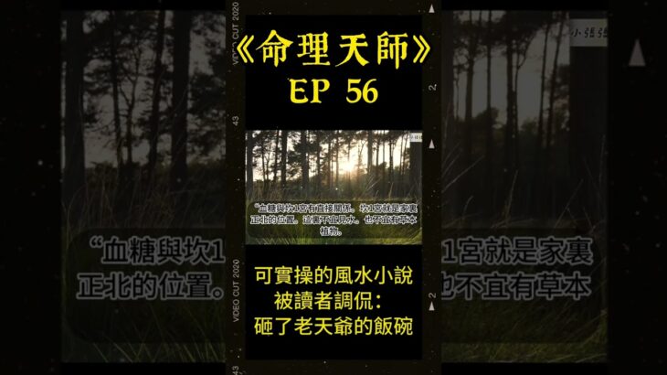 EP 56【降血糖偏方，糖尿病的風水原因，慈善與賺錢】 #連載小說 #現代 #道士 #算命 #實操 #風水 #改命 #化解 #破局 #第一人稱 #有声书 #有聲書