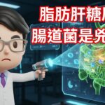 脂肪肝、糖尿病的兇手，竟是「腸道細菌」的產物？ | 醫學新知解碼 EP.074