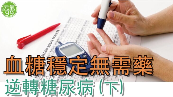逆轉糖尿病（下）：真實案例揭秘！小腸變細後，無需吃藥血糖穩定十多年！中醫調理＋生活方式改善，併發症可控！【Garry Yang楊醫師｜元氣99】（2025.12.01）