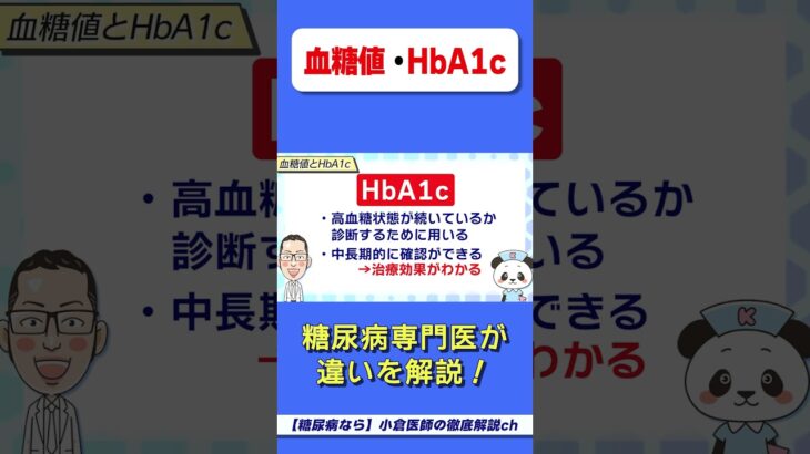 血糖値とHbA1cの違いは？　※血糖値　※HbA1c　※糖尿病