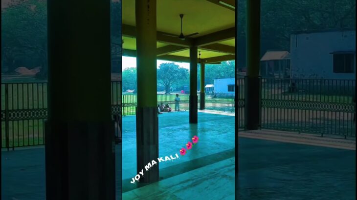 I Survived The CIA… Again.