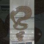 Instalation Art Panel of Boerneo #nft #nfts  #nftart #nftcommunity  #nftcollector