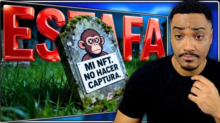 La Caída de los NFT… ¿Qué pasó? | Vity Smile Reacción