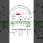 糖尿病，其實是「大腦先出問題」#糖尿病 #大腦健康 #血糖控制 #健康生活 #代謝平衡 #Mandy健康筆記 #Diabetes #BrainHealth #Metabolism