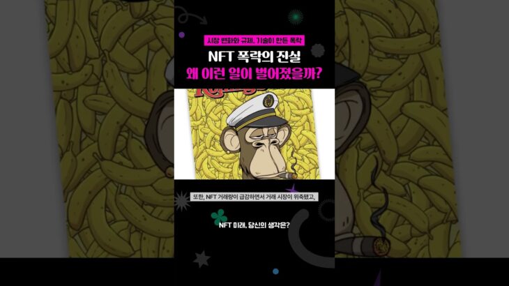 NFT 폭락의 진실 왜 이런 일이 벌어졌을까