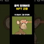 쫄딱 망해버린 NFT 근황