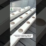 NFT Channel for Moving System