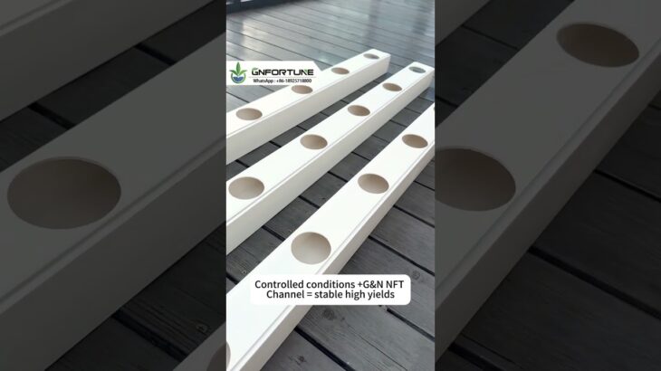 NFT Channel for Moving System