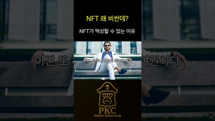 NFT 왜 비싼데?ㅣ떡상할 수밖에 없는 이유 #펑크비즘 #비트코인 #rwa