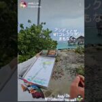 アンディとザ。  NFTコレクション「PALM$ II 🌴」  まもなく。Andy i Za.NFT Collection “PALM$ II 🌴”Soon.