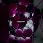 NPT 디지털 미술 등록, NFT랑 뭐가 다른 거야?#NPT #디지털미술 #NFT차이 #디지털원본 #블록체인인증 #디지털예술 #아트테크