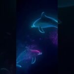 Neon Dolphins NFT is live, grab it while you can!!! #nft #crypto #cryptocurrency