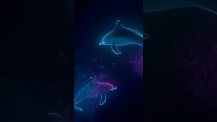 Neon Dolphins NFT is live, grab it while you can!!! #nft #crypto #cryptocurrency