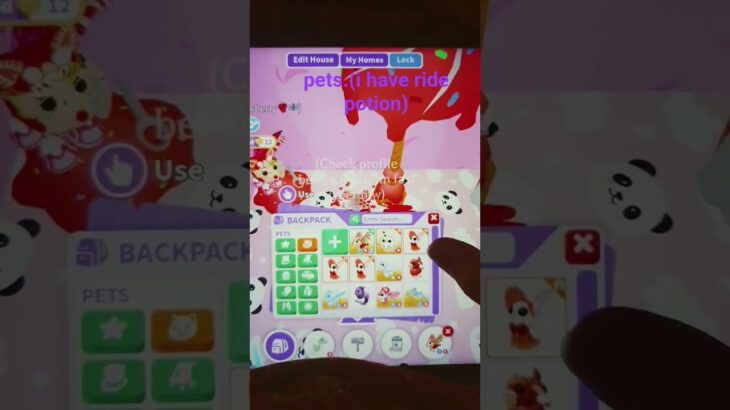 Pets(ssbd and nessie is nft)