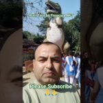 Puri Tour by Treasure NFT। Treasure Event। #shorts #treasure #trending #online #motivation