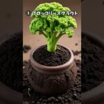 Qクイズ：これで変わる！医学的に証明された糖尿病対策の食事法#糖尿病予防#血糖値コントロール#全粒穀物#ブロッコリースプラウト#スルフォラファン#食事療法#予防医学#栄養学#健康習慣#糖質制限