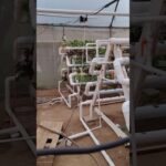 Remodelación de invernadero hidropónico con pirámide NFT #hidroponia