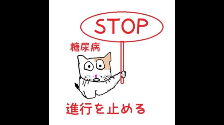 STOP糖尿病‐ 25-12