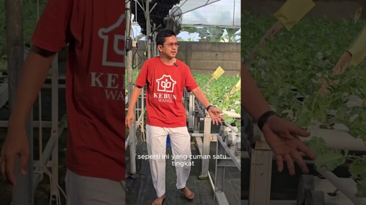 Tipe modul hidroponik NFT terasering