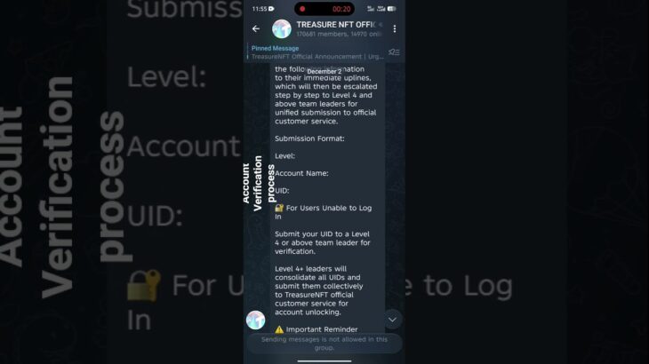 Treasure NFT New Video (02/12/2025)
