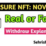 Treasure NFT & NovaNFT | Real or Fake? Withdraw Explanation