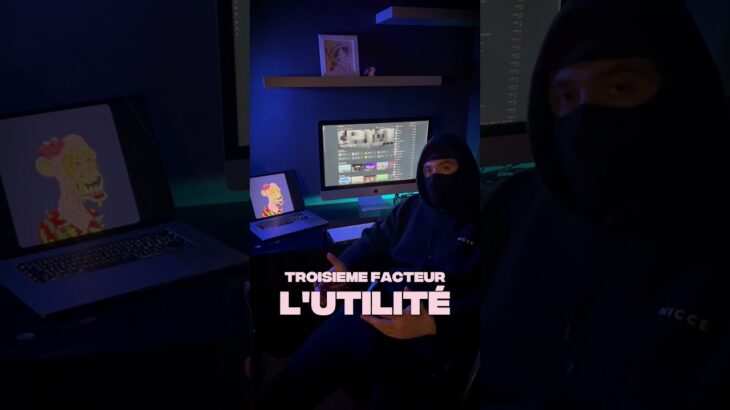 UN NFT OU TA MAISON? 🇫🇷