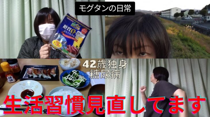 YouTuberただフリをオマージュして糖尿病患者の日常を動画作成した独身アラフォーおばさん