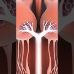 #aiforbeginners #web3 #earneasy #aiapps #chatgpt #aiwebsites #aiincome #crypto #digitalbrain #nft